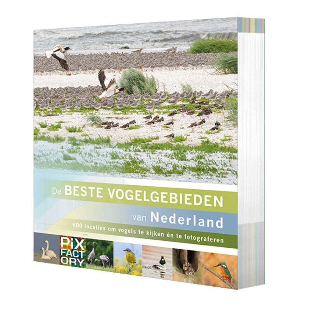 Birdpix De beste vogelgebieden van Nederland