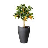 Scheurich Wave Globe High Plantenbak van kunststof, zwart-graniet, 29,8 cm diameter, 40 cm hoog, 6 l vol.