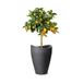 Scheurich Wave Globe High Plantenbak van kunststof, zwart-graniet, 29,8 cm diameter, 40 cm hoog, 6 l vol.