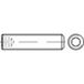 TOOLCRAFT 1062579 Draadpen M20 30 mm RVS A1, A2 10 stuk(s)