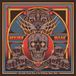 Interstellar Cosmic Blues & The Riffalicious Stoner Dudes