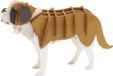 Fridolin 3D papieren model - Sint-Bernardshond