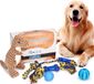 Nobleza set de jouets pour chien - 5 pièces