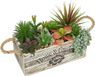 Unyqoos® Succulentes artificielles dans un pot en bois - plante d'intérieur décorative, sans entretien pour rebord de fenêtre, balcon, bureau et salle de bain