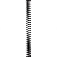 Rockshox Lyrik A1-A2 Spiraalveer Zilver 170 mm