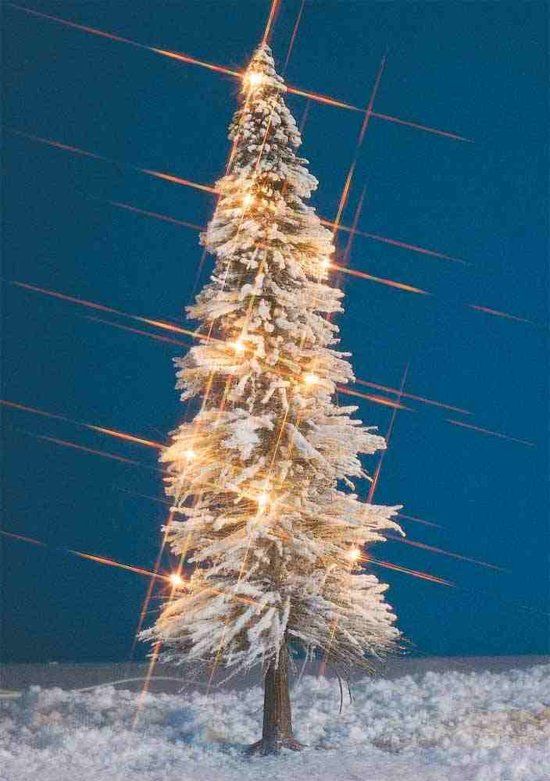 Busch & Müller WEIHNACHTSBAUM I/G - EAN: 4001738086249