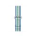Apple Woven Nylon Apple Watch 38mm / 40mm / 41mm / 42mm Blue Stripe