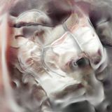 Konkurrent Adult Jazz - Earrings Off! (LP)