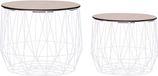 vidaXL Table basse 2 pcs Blanc