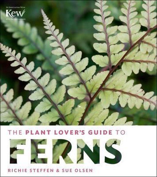 The Timber Pr Plant Lovers Guide To Ferns