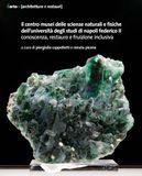 Il Centro Musei delle Scienze naturali e fisiche dell’Università degli Studi di Napoli Federico II. Conoscenza, restauro e fruizione inclusiva