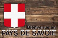 ID Mat Boston regio Savoie Boston Region, kunstvezels, bruin rood wit, 40 x 60 x 0,5 cm