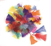 GLOREX 6 3822 300 decoratieve veren, gesneden, bont 8-14cm, 14g, meerkleurig