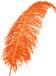 Merkloos Veer - Oranje - Spadonis - Piet - 50cm