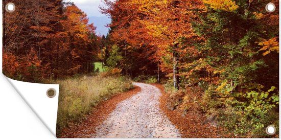 GreatGardenPosters Tuinposter Herfst Pad Bos Oranje 80x40 cm - Tuindoek Tuinschilderij