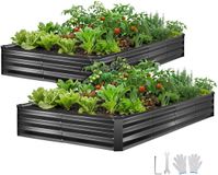 VEVOR Verhoogd Tuinbed, Metaal, Set van 2, 244x122x30 cm, Rechthoekig