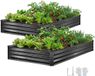 VEVOR Verhoogd Tuinbed, Metaal, Set van 2, 244x122x30 cm, Rechthoekig