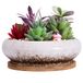 ARTKETTY Vetplantenpot, 18,5 cm grote bonsaipot met dienblad, keramische vetplant met drainagegat, ondiepe cactusbloempotten voor binnen/buitenplanten geglazuurde plantenbak, wit