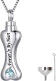 Hemelwinkel Luxe Ashanger - met Ketting (55 cm) - Voor As, Haren of Parfum - Assieraad - As Ketting - Gedenksieraad - Urn - As hanger - Incl. As vuller en Opbergzakje - Dog Bone
