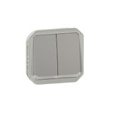 LEGRAND, Plexo 069526L Inzetstuk, dubbele schakelaar voor vochtige ruimtes, dubbele wisselknop, wisselknop en wisselcontact, verlicht, ombouwbaar 3-in-1 product, 10 A, 250 volt, kleur: grijs
