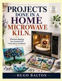 PROJECTS Libri GmbH Projects Done in a Home Microwave Kiln.