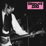 Knights Cornflake Zoo Knights Of Fuzz (LP)
