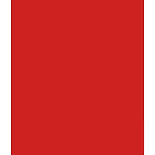 Ark A4 240gsm Gekleurde Kaart Voorraad Pack van 10 Vellen (Xmas Rood)