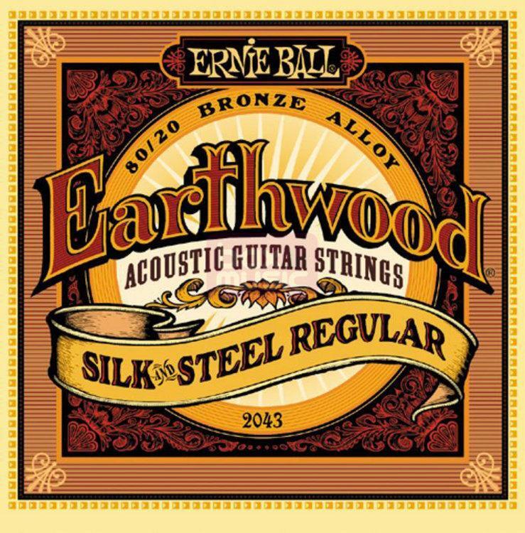 Ernie Ball 2043 Earthwood Silk & Steel Regular snarenset