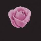 PME JEM Spuitmondje Giant Rose / Petal / Ruffle Nozzle #127D