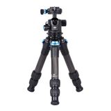 Sirui Compact 223 + ST-10X Tripod Head