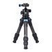 Sirui Compact 223 + ST-10X Tripod Head