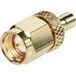 Tru Components Adaptateur SMB femelle - SMA mâle 1 pc(s) S403561