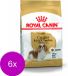 Royal Canin Cavalier King Charles Adult - Alimentation pour chien - 9kg