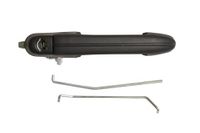 PRASCO Türgriff FT1488002 vorne links | Compatibel met: FIAT MAREA, MAREA Weekend