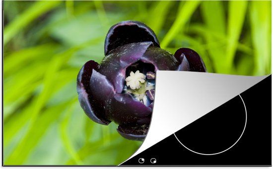 KitchenYeah® Inductie beschermer 77x51 cm - Zwarte tulp - Inductiebeschermer voor inductiekookplaat