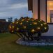 Konstsmide Lichtnet voor buiten - 64 LEDs - 2 meter