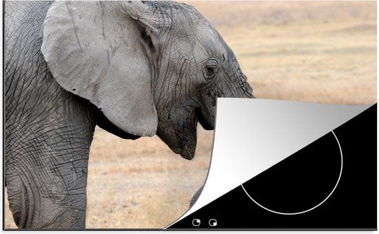 KitchenYeah® Inductie beschermer 77x51 cm - Close-up Olifant - Inductie kookplaat accessoire