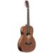 J.N Guitars Dovern Series DOV-PFI guitare folk électro-acoustique