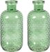 Countryfield Bloemenvaas Cactus Dots - 2x - groen transparant - glas - D11 x H24 cm