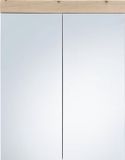 Trendteam Amanda Badkamerspiegelkast Eiken Look 60x77x17 cm