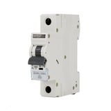 Automatische ABB Automatische schakelaar 6KA 1P B 40A