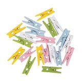 Rayher Mini-wasknijpers, hout, 2,5 cm, 20 stuks, op kleur gesorteerd, kleine wasknijpers, decoratieve knijpers, hout, FSC-gecertificeerd, 64594999, kleurrijk