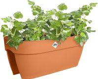 Elho Vibia Campana Flower Bridge 60 - Balkonbak met Ophanging - 100% Gerecycled Plastic - L 59 x B 26 x H 22 cm - Terra