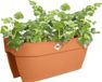 Elho Vibia Campana Flower Bridge 60 - Balkonbak met Ophanging - 100% Gerecycled Plastic - L 59 x B 26 x H 22 cm - Terra