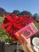 WayMix Koopman International B.V. With Love - Rood - Moederdag - Valentijn - Cadeau idee