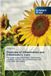 Overview Scholars' Press Overview of Inflammation and Inflammatory Cells Paperback