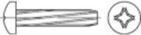 TOOLCRAFT M6 x 16 mm Phillips Drive Self-Tapping Screws, Galvanized Steel, 500 Pieces