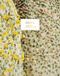 Dior: Jardins enchanteurs