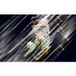 Football Papier Peint Panoramique - Joueur De Foot - 512 cm X 320 cm