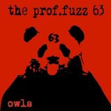 Owls Prof. Fuzz 63 Owls (LP)